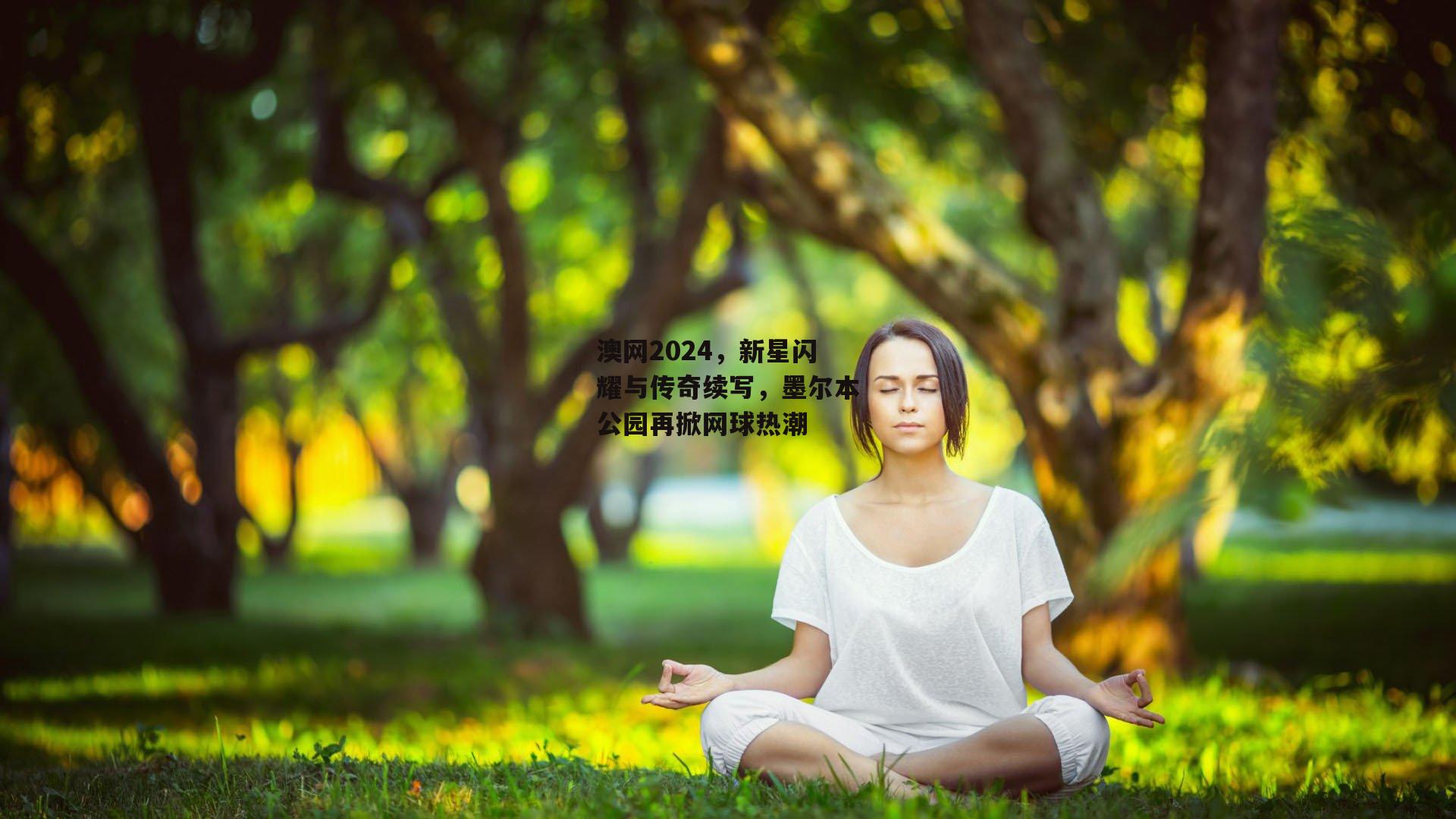澳网2024，新星闪耀与传奇续写，墨尔本公园再掀网球热潮