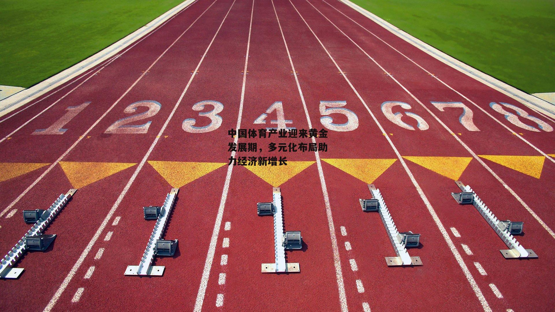 中国体育产业迎来黄金发展期，多元化布局助力经济新增长